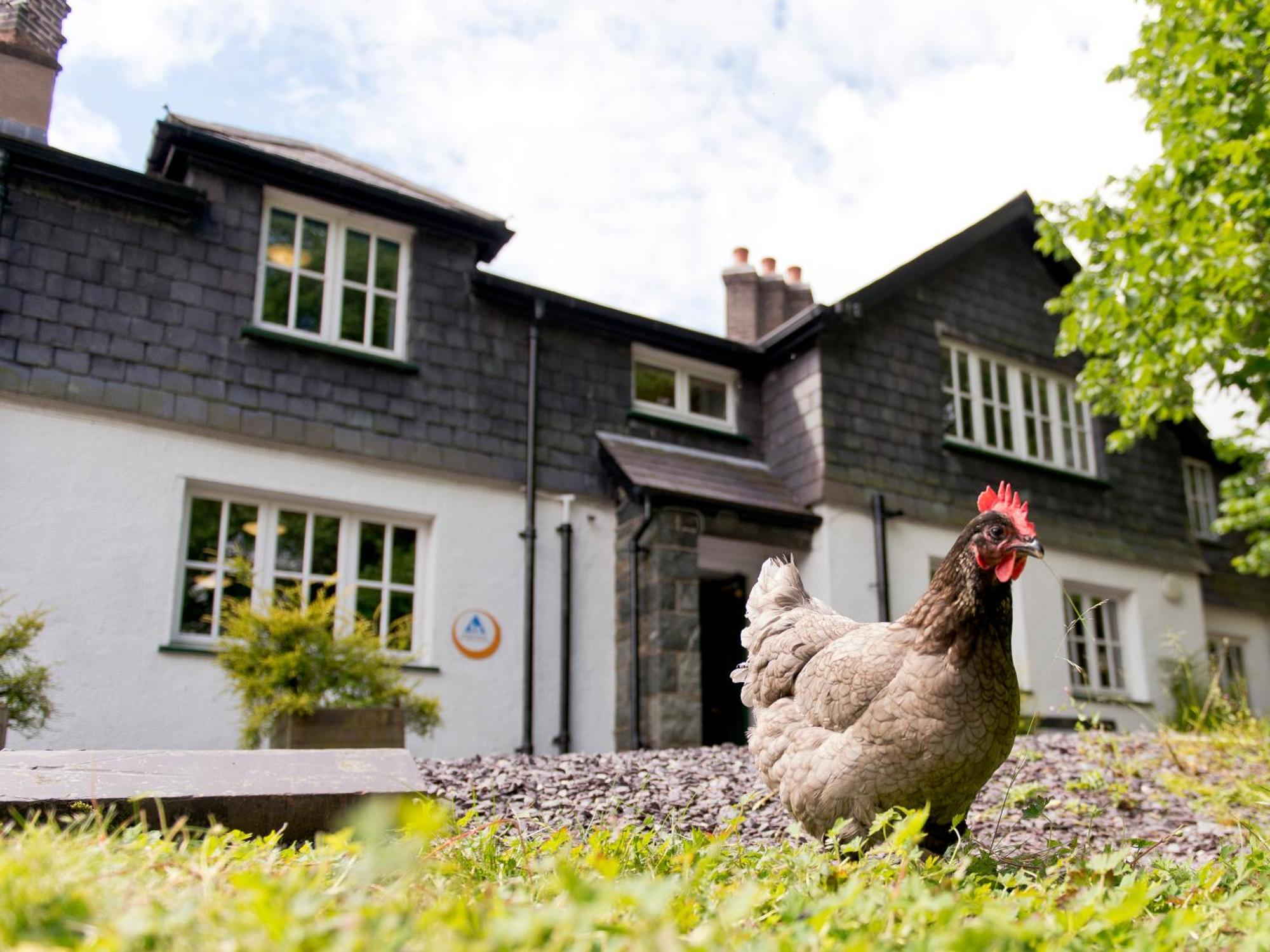 Yha Idwal Cottage Бетезда Екстериор снимка